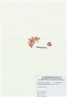 藏品(浪花藻)的圖片